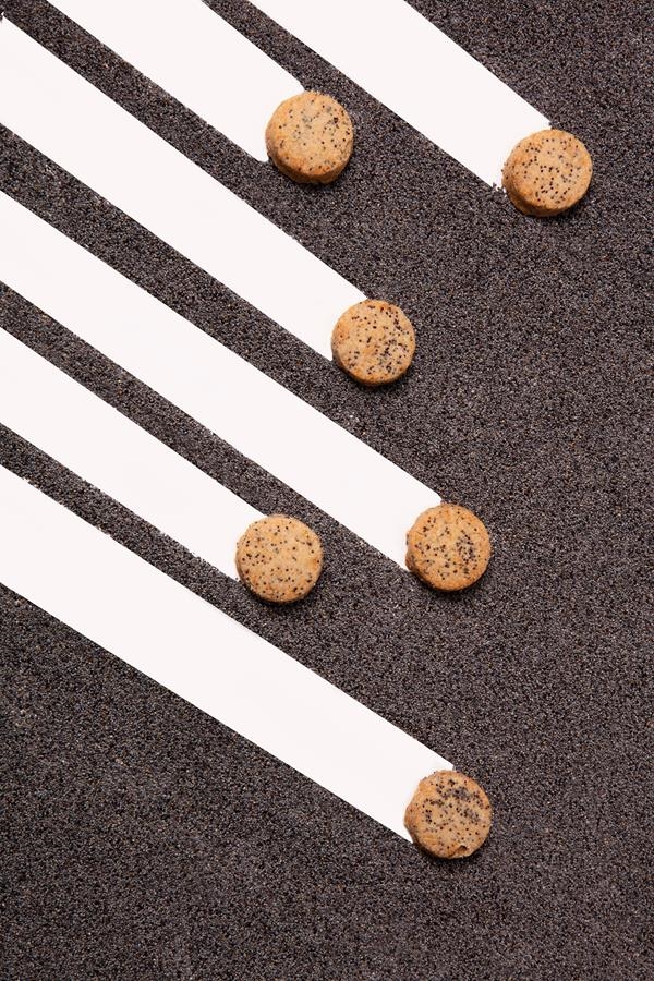 LEMON & POPPY SEEDS | OLEOSHOP-4 | mini-cookies